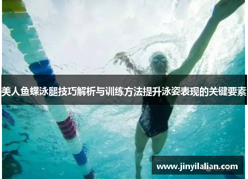 美人鱼蝶泳腿技巧解析与训练方法提升泳姿表现的关键要素